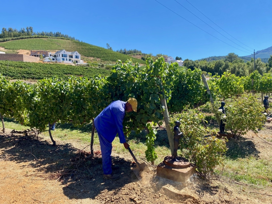 4 Bedroom Property for Sale in Weltevreden Hills Estate Western Cape